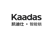 【凯迪仕】KAADAS是什么牌子